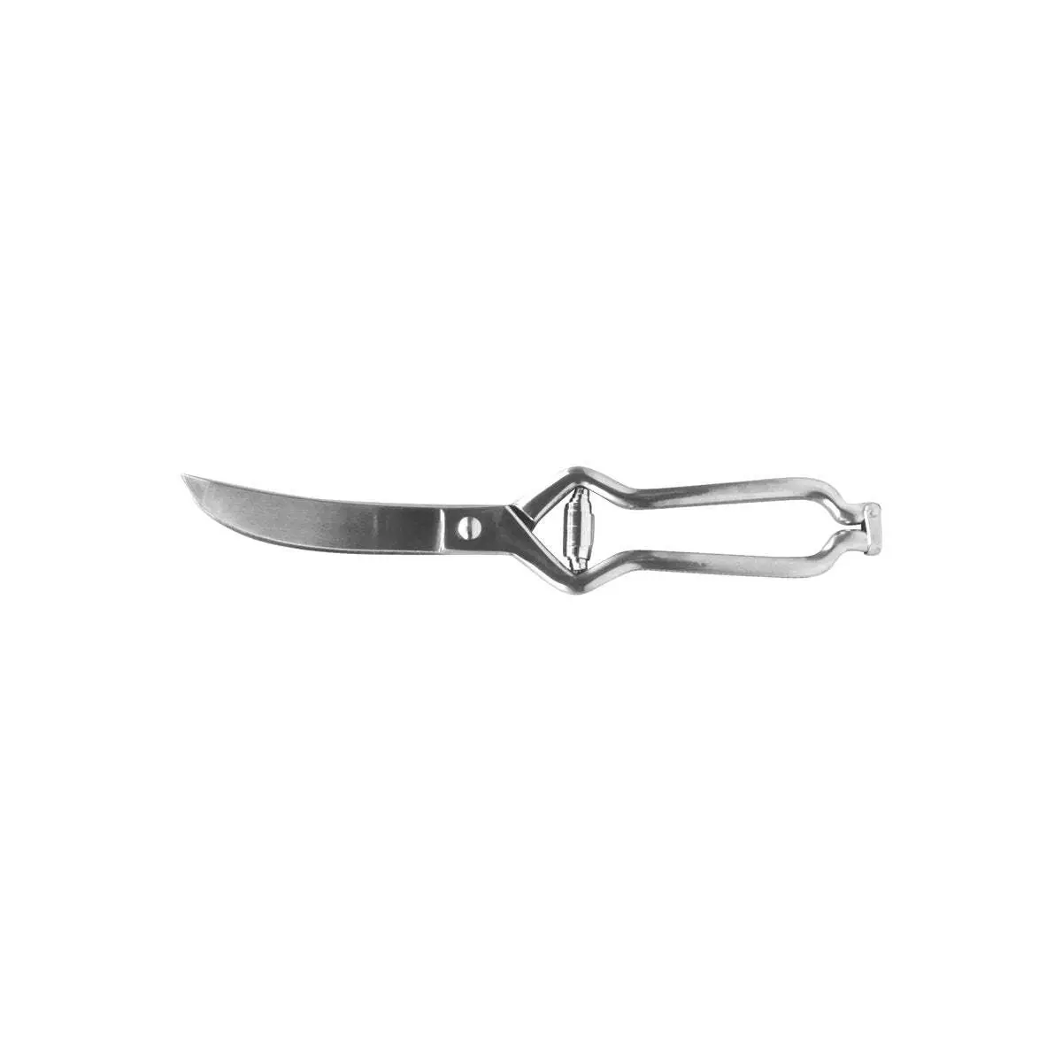 Ivo-Poultry Shear 18/10 260mm