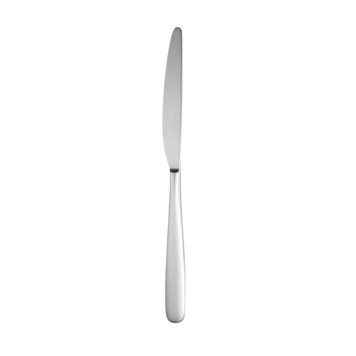 Trenton Hamilton Coffee Spoon-18/10 Satin Finish