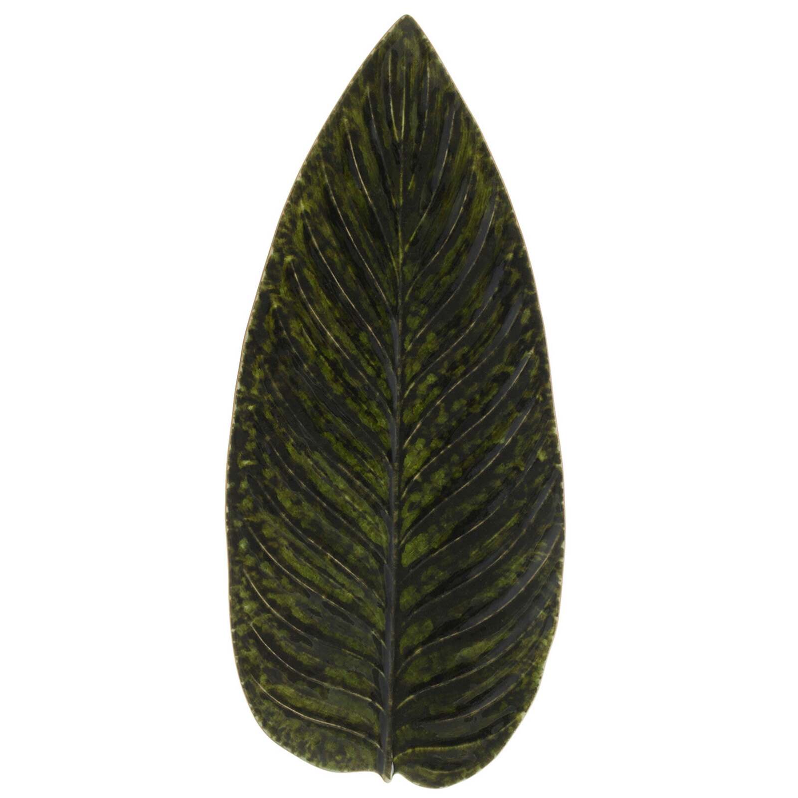 Costa Nova Riviera Strelizia Leaf 398mm Forêts 
