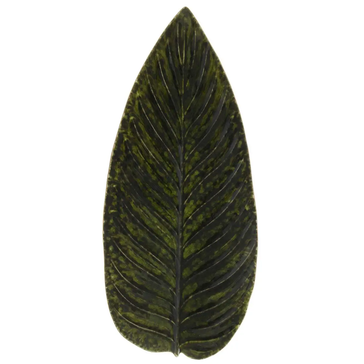 Costa Nova Riviera Strelizia Leaf 398mm Forêts 