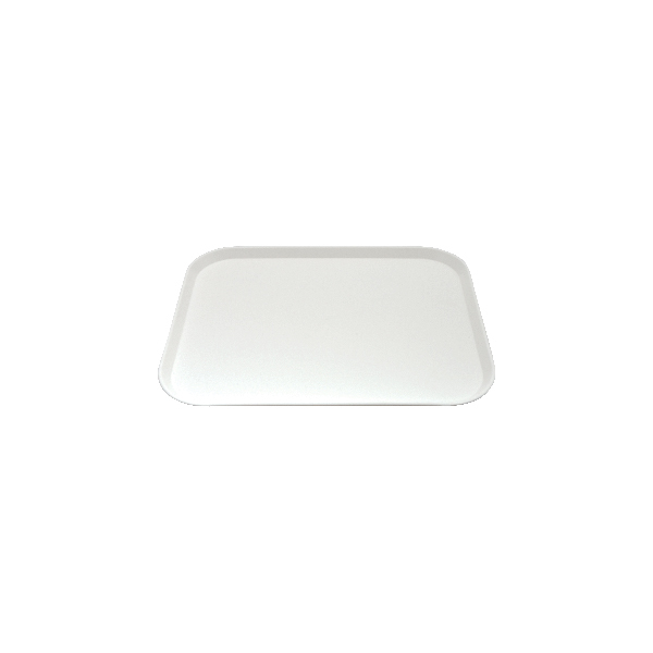 Fast Food Tray-PP | 300X400mm