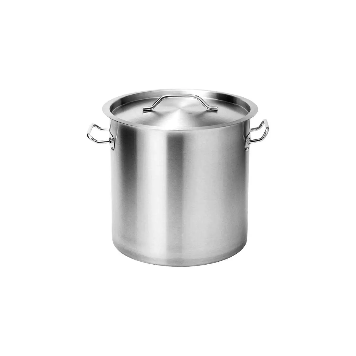 Force Stock Pot W/Lid 300X300mm Ss Tri-Ply 21Lt