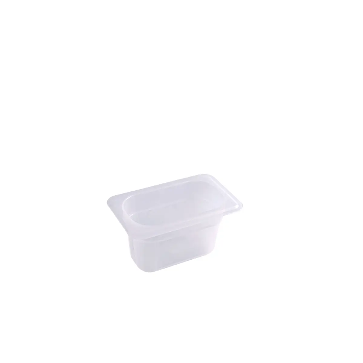 Gastroplast Food Pan-Pp | 1/9 Size 100Mm