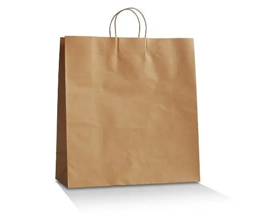 Brown Kraft Bag /Twisted paper