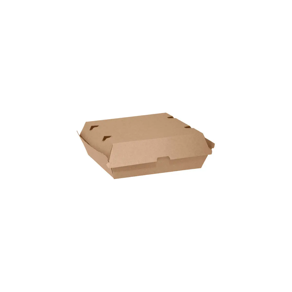 Kraft Range Dinner Box 178x160x45mm 150s
