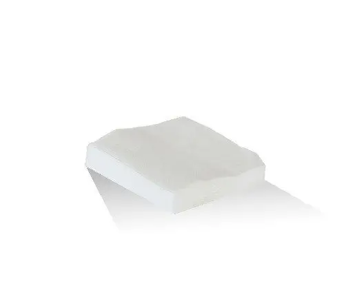 White Napkin 2 Ply Cocktail 1/4 Fold, 2000s