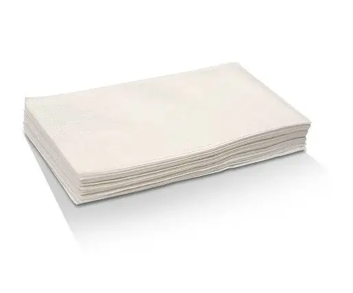 White Napkin 2Ply Dinner GT Fold,1000s