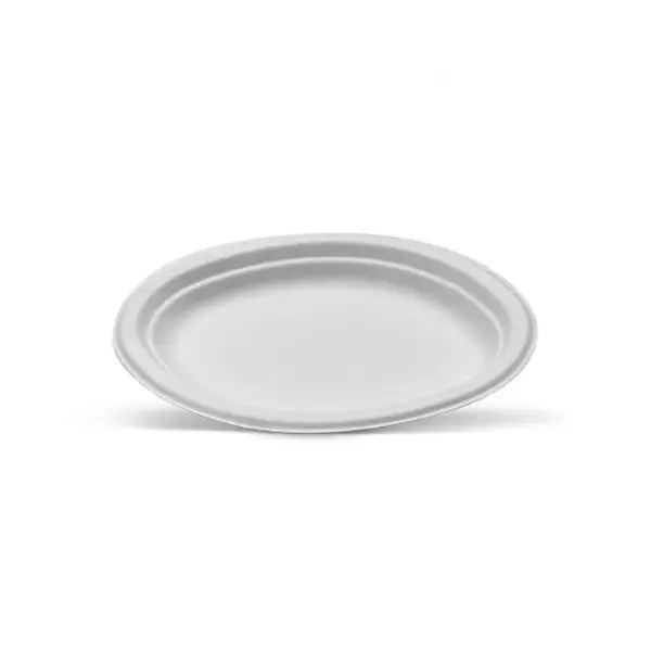 Sugarcane Oval Plate Small 500s