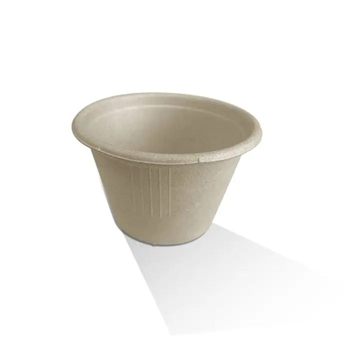4 oz Cup Unbleached Sugarcane 2000s