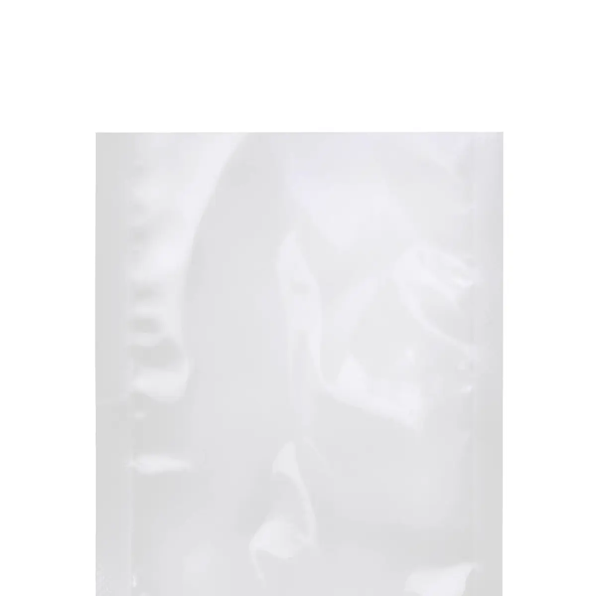 Vacuum Bag 16x25 In Chamber