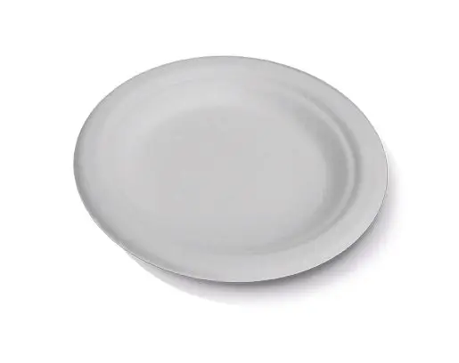 Sugarcane Round Plate 6" 1000s